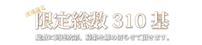 限定総数310基